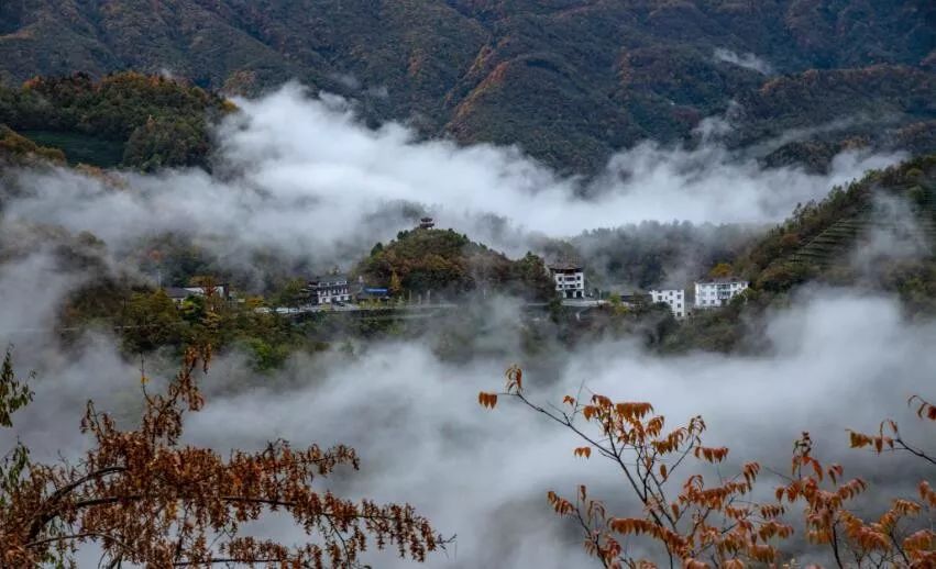 早读安徽||“一次献血,终身免费用血”《合肥市献血条例》明年开始施行