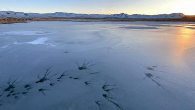 iphone13系列拍照评测,iphone13系列评测