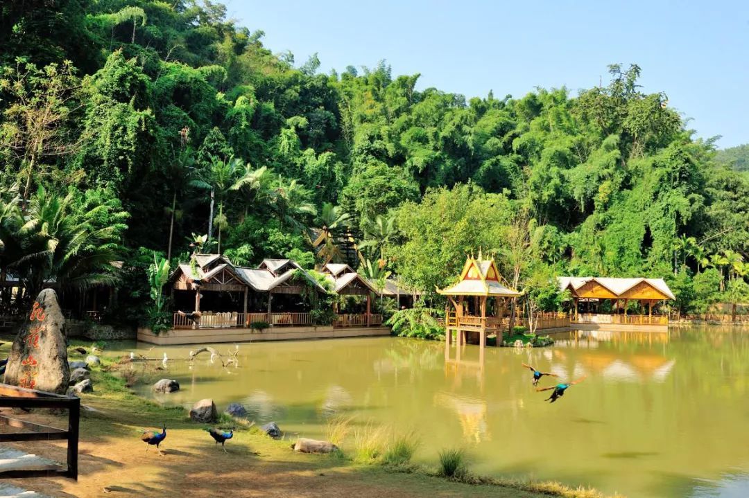 西双版纳风景彩云之南,美丽的西双版纳人间的天堂