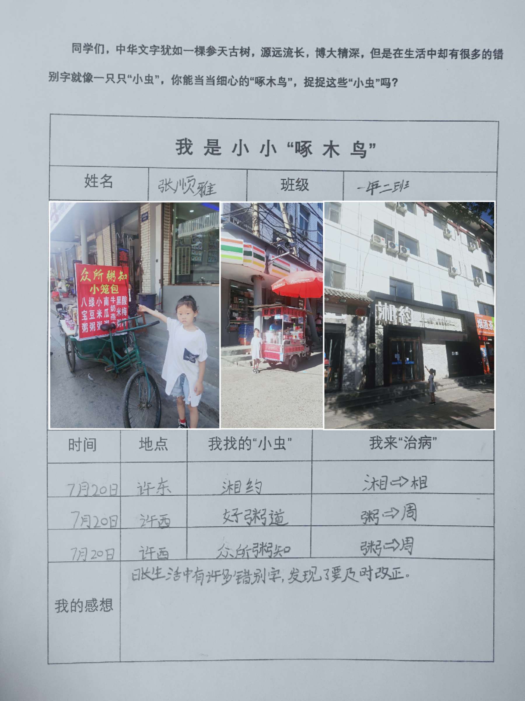 小学啄木鸟行动校外纠正错别字,啄木鸟找错别字实践活动