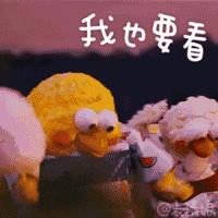 玛丝菲尔女装正品羊绒大衣,玛丝菲尔女装品牌价位