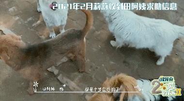 b站必看的综艺,b站能看的综艺推荐