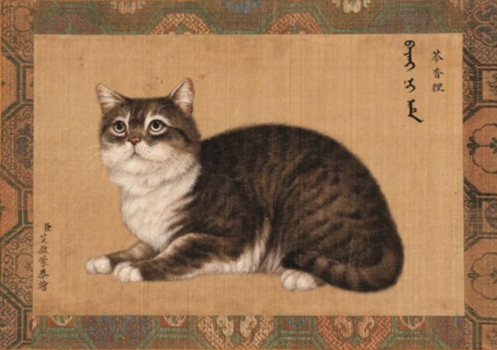 古代猫名字,古代猫的名字