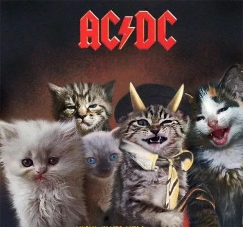 初学如何挑选电吉他,新手如何选第一把电吉他