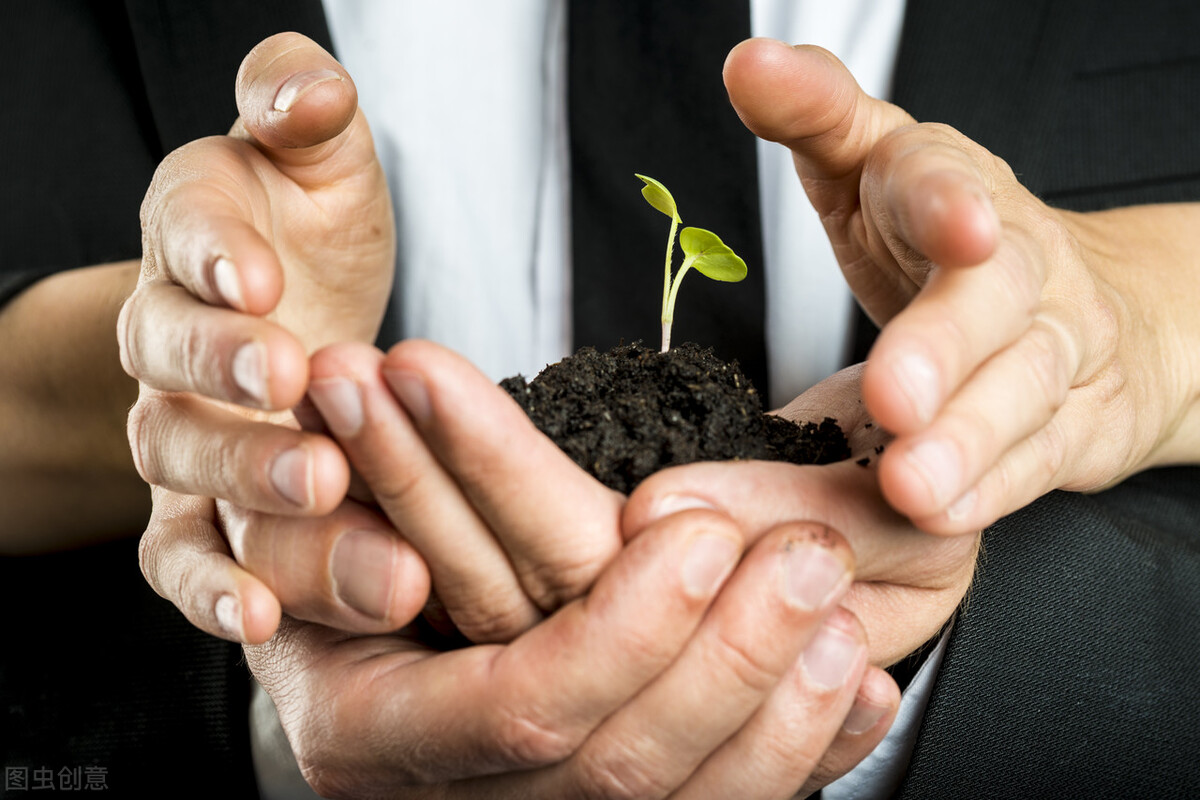 怎样快速脱贫致富,怎么快速脱贫