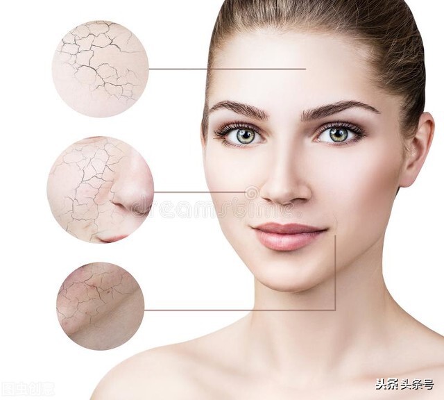 随着年龄增长人脸皮肤会变粗糙,人脸皮肤组织示意图