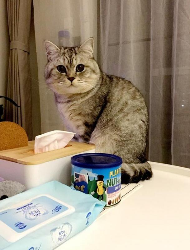 深圳装修晶志装饰89㎡新家装北欧风,地砖做美缝,漂亮极了