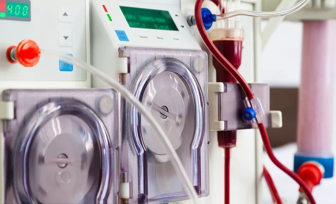 日本净化血液的最好方法 (日本最好的血液净化)