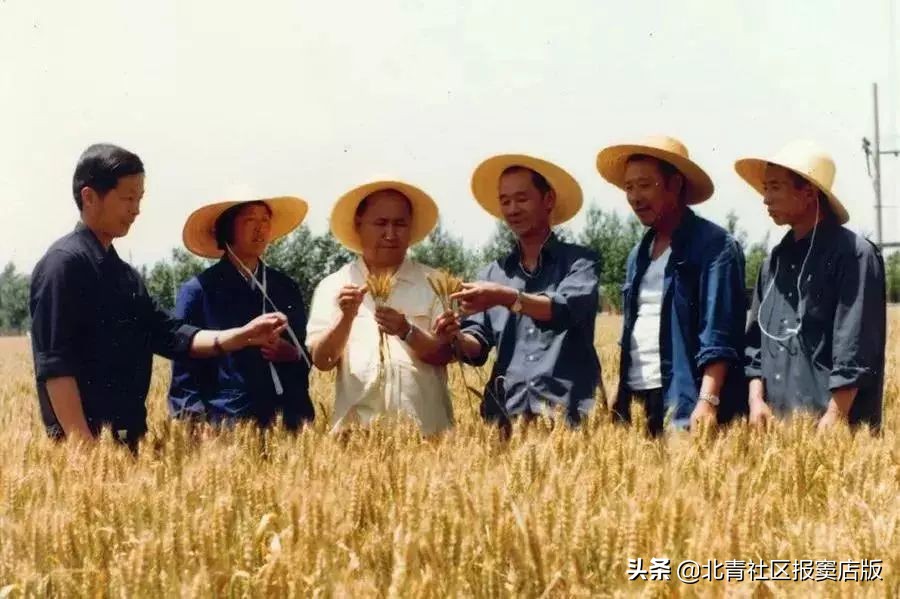 搜一搜就知道了,搜一搜商家会怎么样