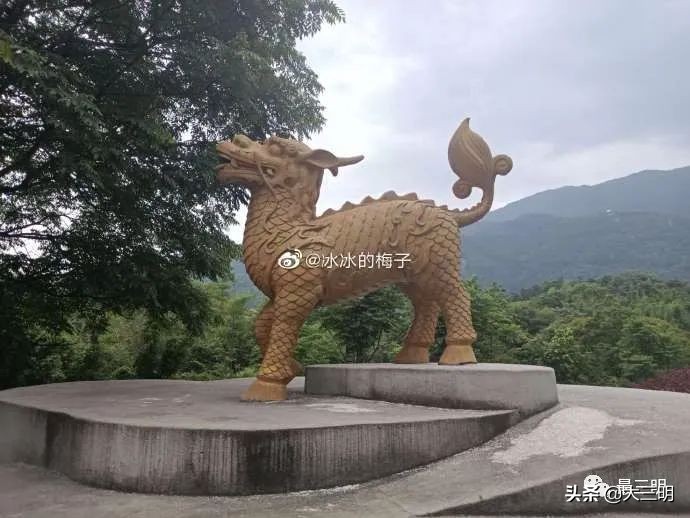 三明麒麟山公园鸟瞰,麒麟山公园三明门票