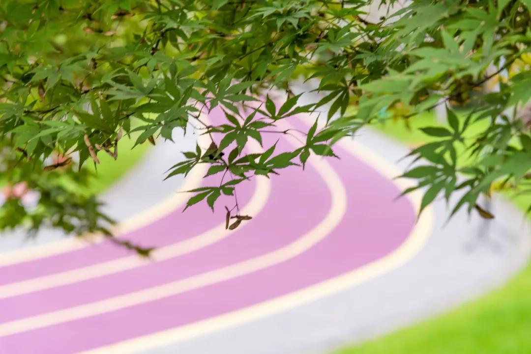 撩人无锡话,无锡锡城花路