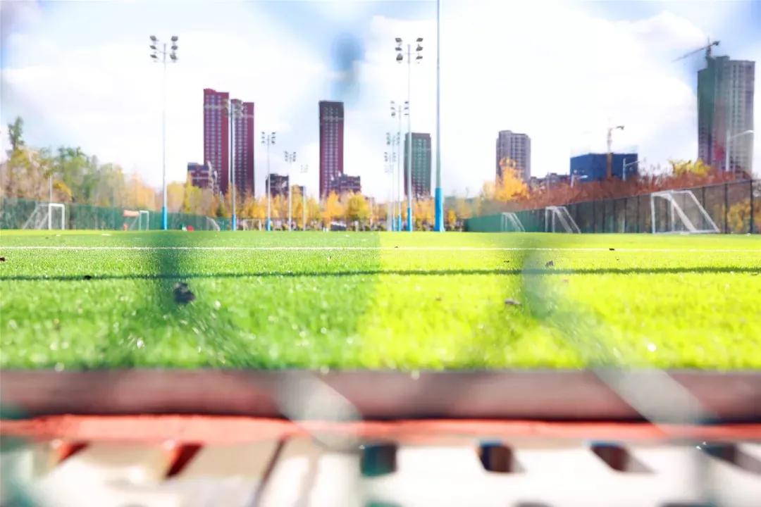 辽宁中医药大学杏林学院独立学院,辽宁中医药大学三个校区