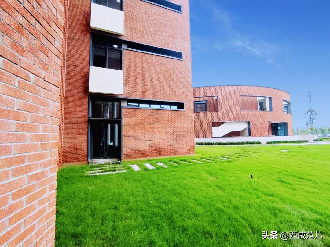 喜讯|新增学位14760个！沣西、能金区共10所新建学校，全部投运