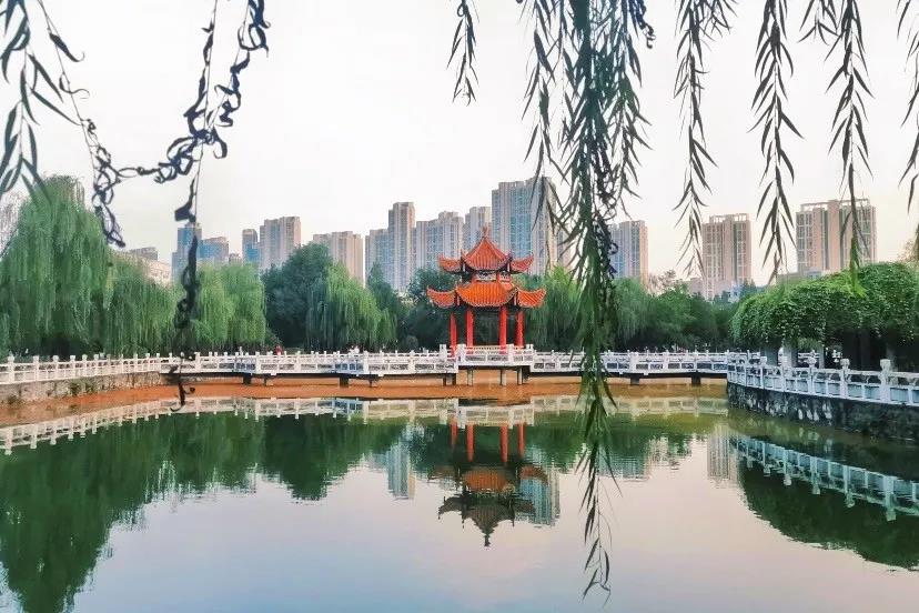 本科应届毕业生海投简历,海投200多份简历