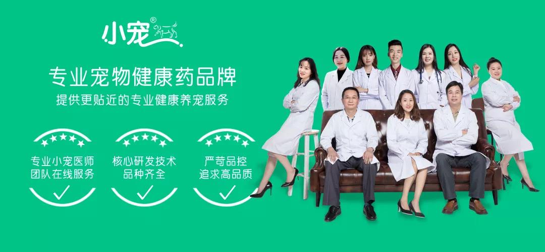 先洗澡还是先驱虫？为什么用了驱虫药还被虫咬？宠物医师给你答案