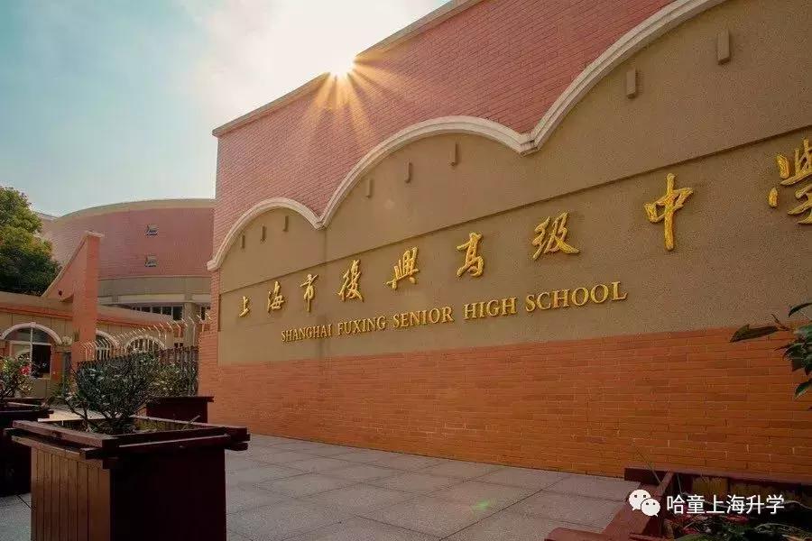 复旦系学校,复旦学院有哪些