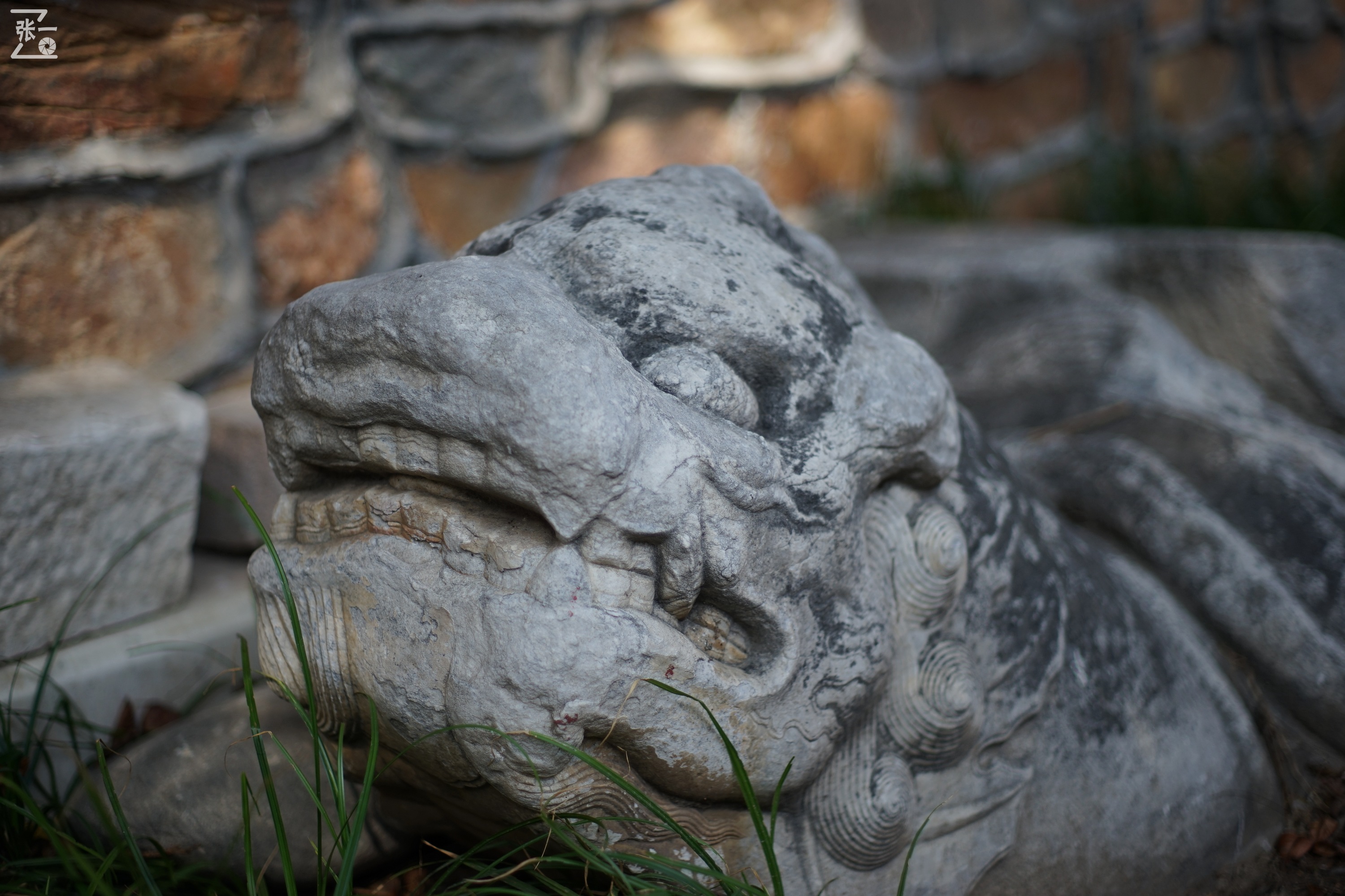 宾得老镜头k系列,老北京镜头