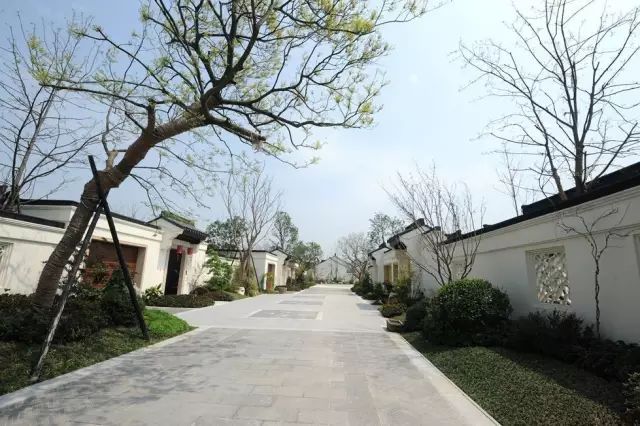 乌镇绿城雅园旅游攻略,乌镇国际文旅度假区