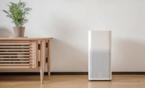 柚子皮跟绿萝哪个去除甲醛效果好,洋葱柚子绿萝去甲醛有用吗