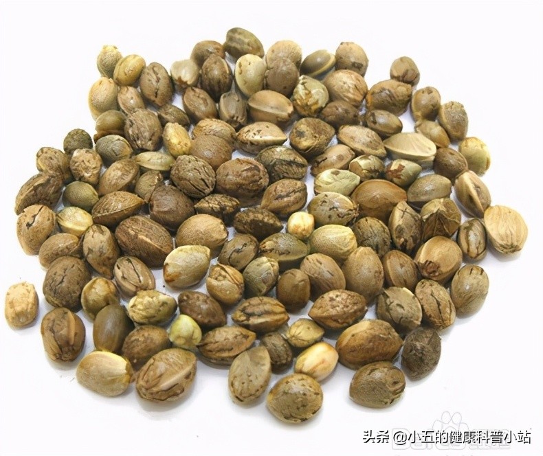 经常便秘能吃麻子仁丸吗,便秘吃麻子仁丸多久能排便