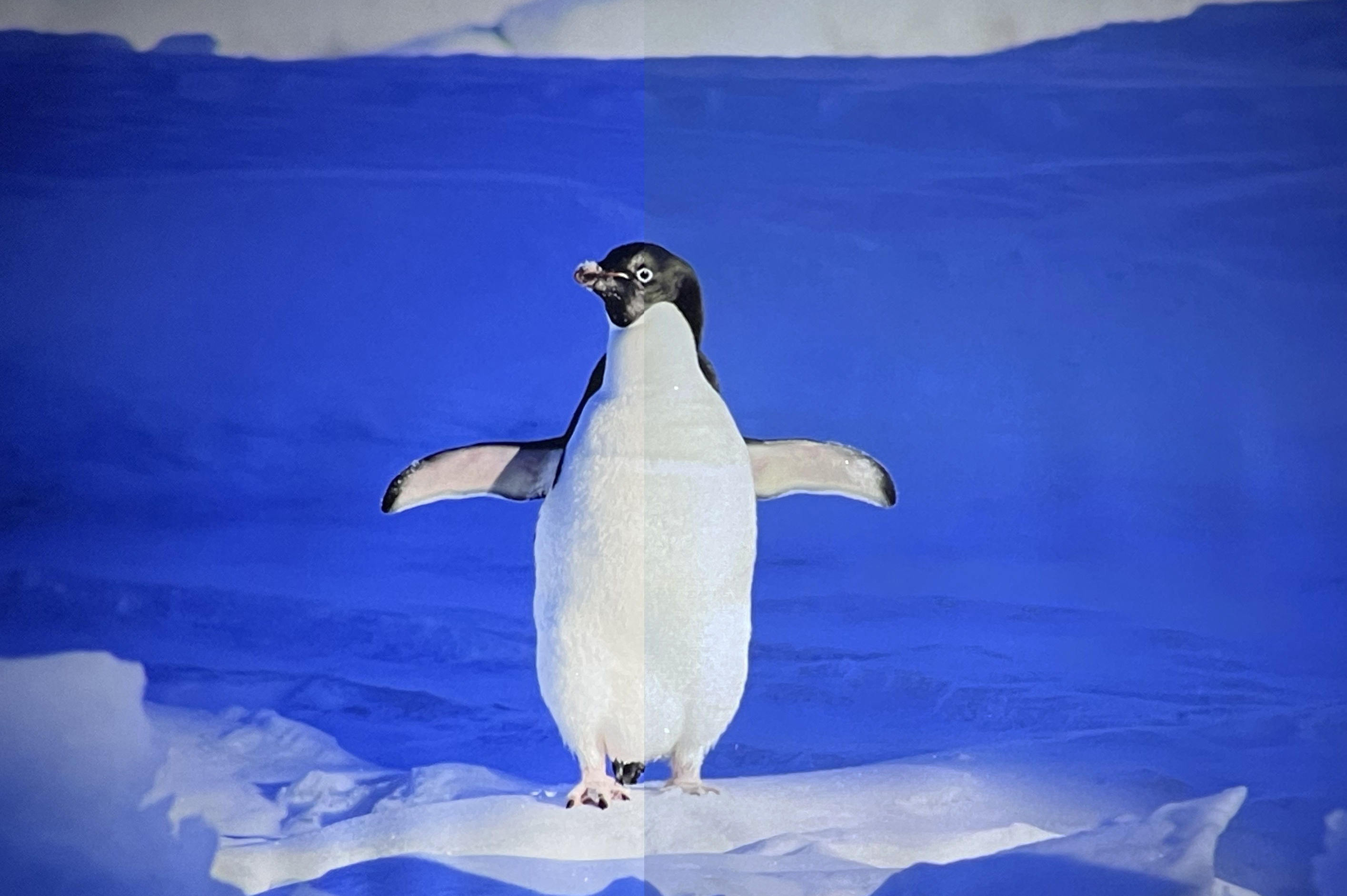 极米rspro2评测多少流明,极米rspro2电影院测评