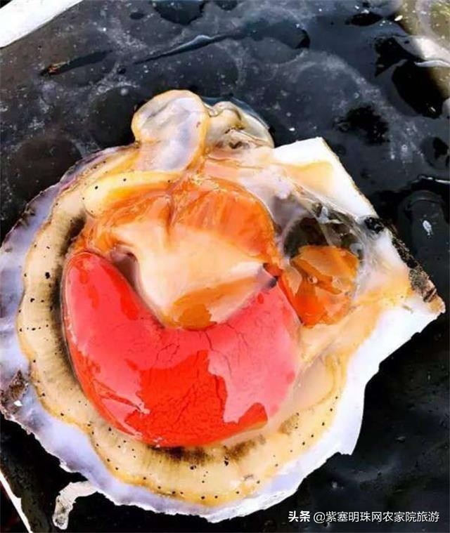 大连獐子岛旅游攻略住宿,獐子岛旅游住宿费用