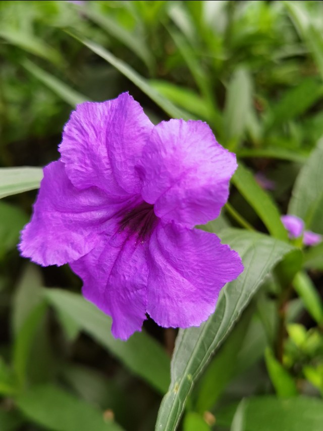 985大学家长求助学校,父母985孩子是学渣怎么开导孩子