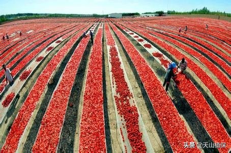 *疆新**库尔勒彻底火了！登上央视让世界瞩目，为库尔勒而骄傲