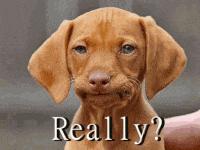 达尔文是谬论……上大学没用……地球是平的，美国人有多反智？