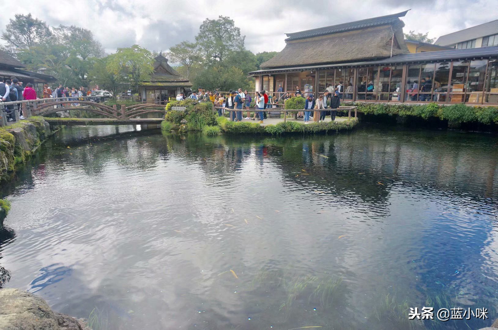 东京富士山镰仓一日游,东京旅游攻略镰仓一日游