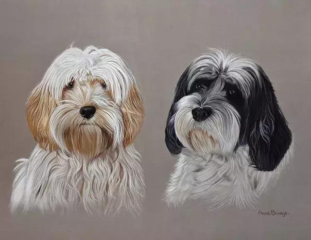 彩铅不会涂色怎么办,彩铅绘画干货