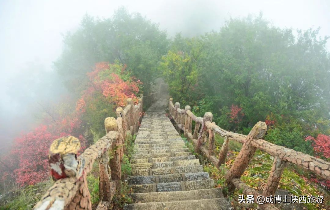 秦岭终南山旅游推荐,最近秦岭终南山景区