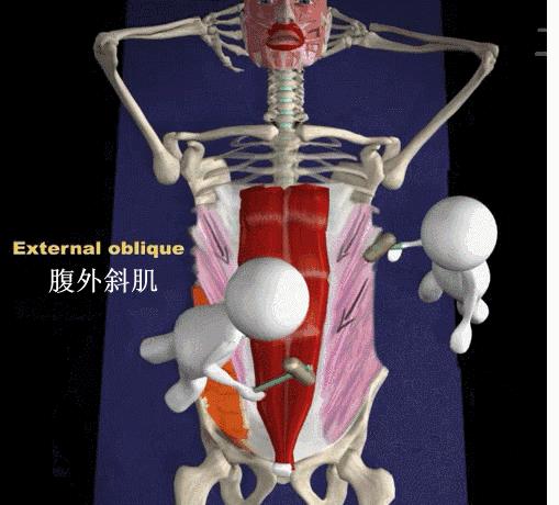 卷腹后腰痛是什么原因,健身操卷腹腰痛是怎么回事