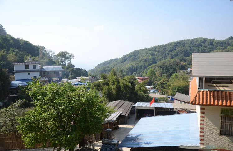 每个山头的普洱茶都有什么区别,最好的普洱茶是哪个山头的