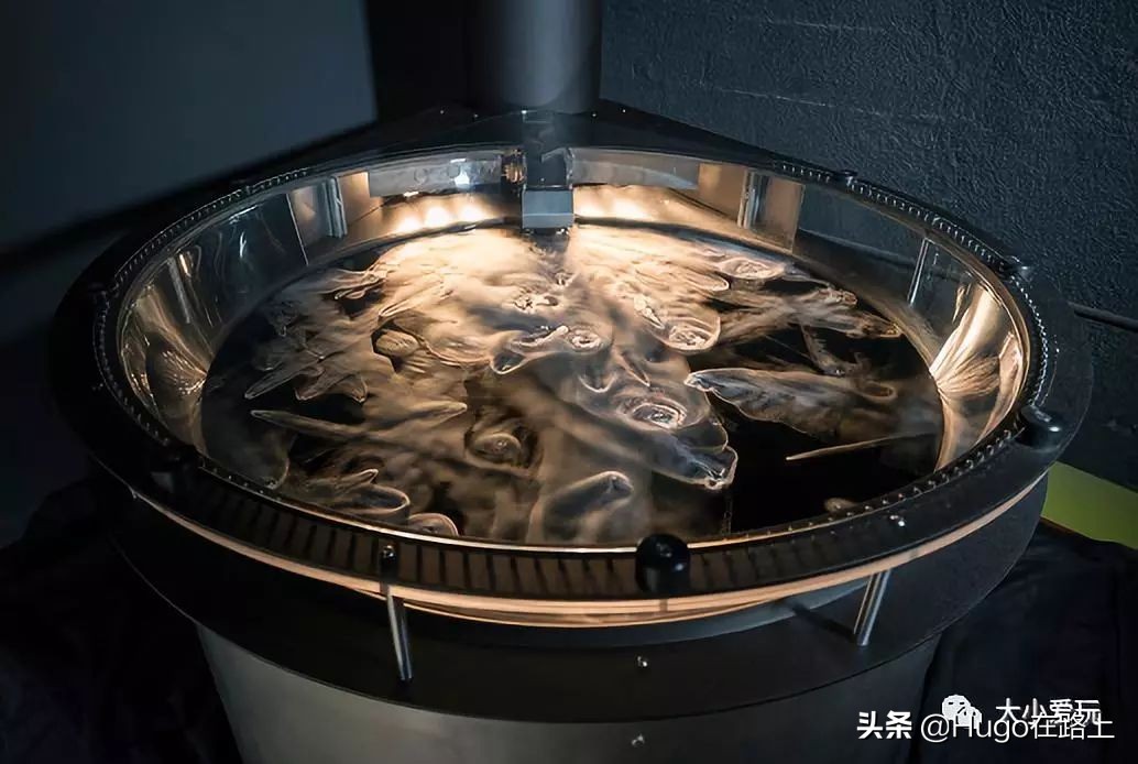 香港亲子游图文攻略图片大全,香港亲子游最佳路线图