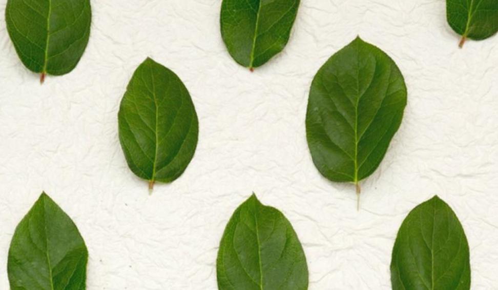 四种方式兼职创业,年轻人兼职创业该怎么做