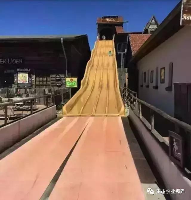 用一颗草莓吸引5百万游客,开5家主题乐园、4家超市、300个草莓屋