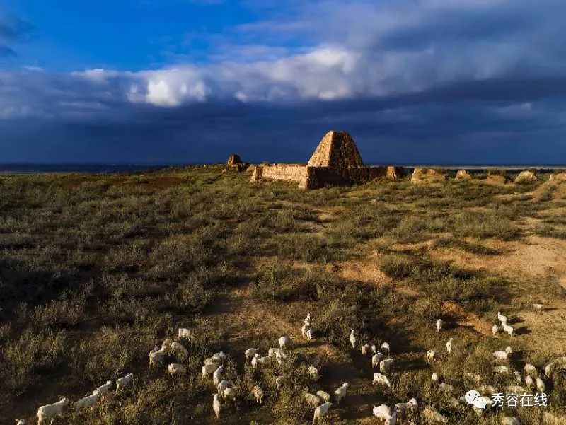 郑志东神池,神池新闻网郑志东