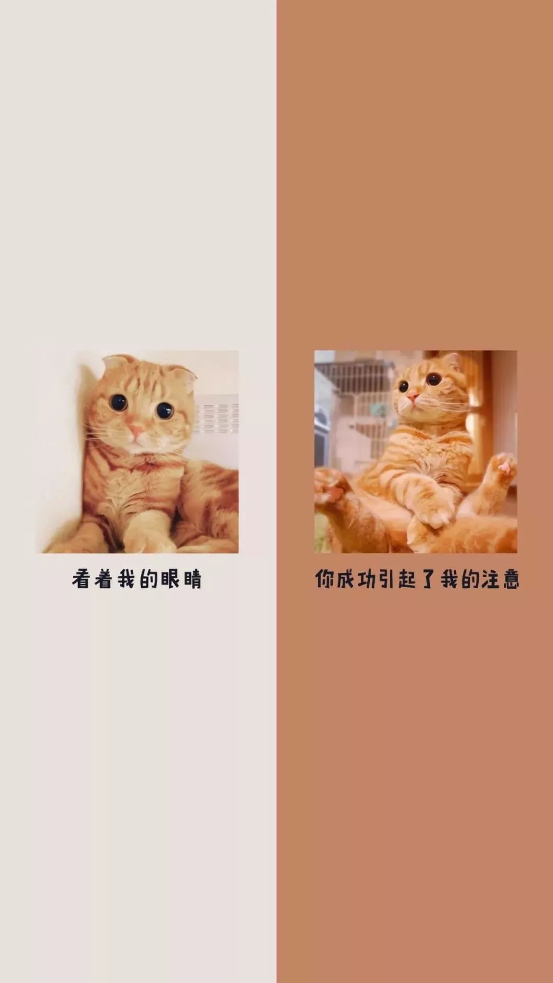 聊天背景图一绿一黑,聊天背景图可爱型