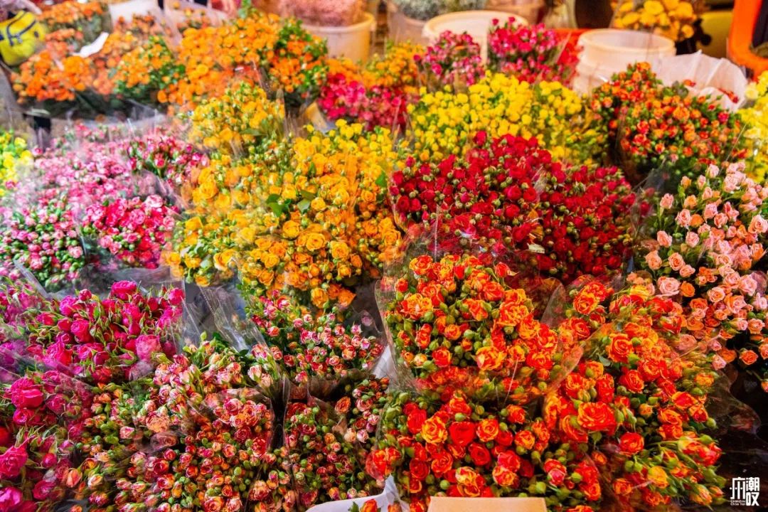 广州最便宜的花卉市场1块钱,广州岭南花卉市场买花攻略