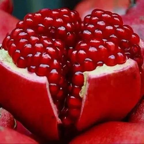 蒙自石榴简介,蒙自石榴位置