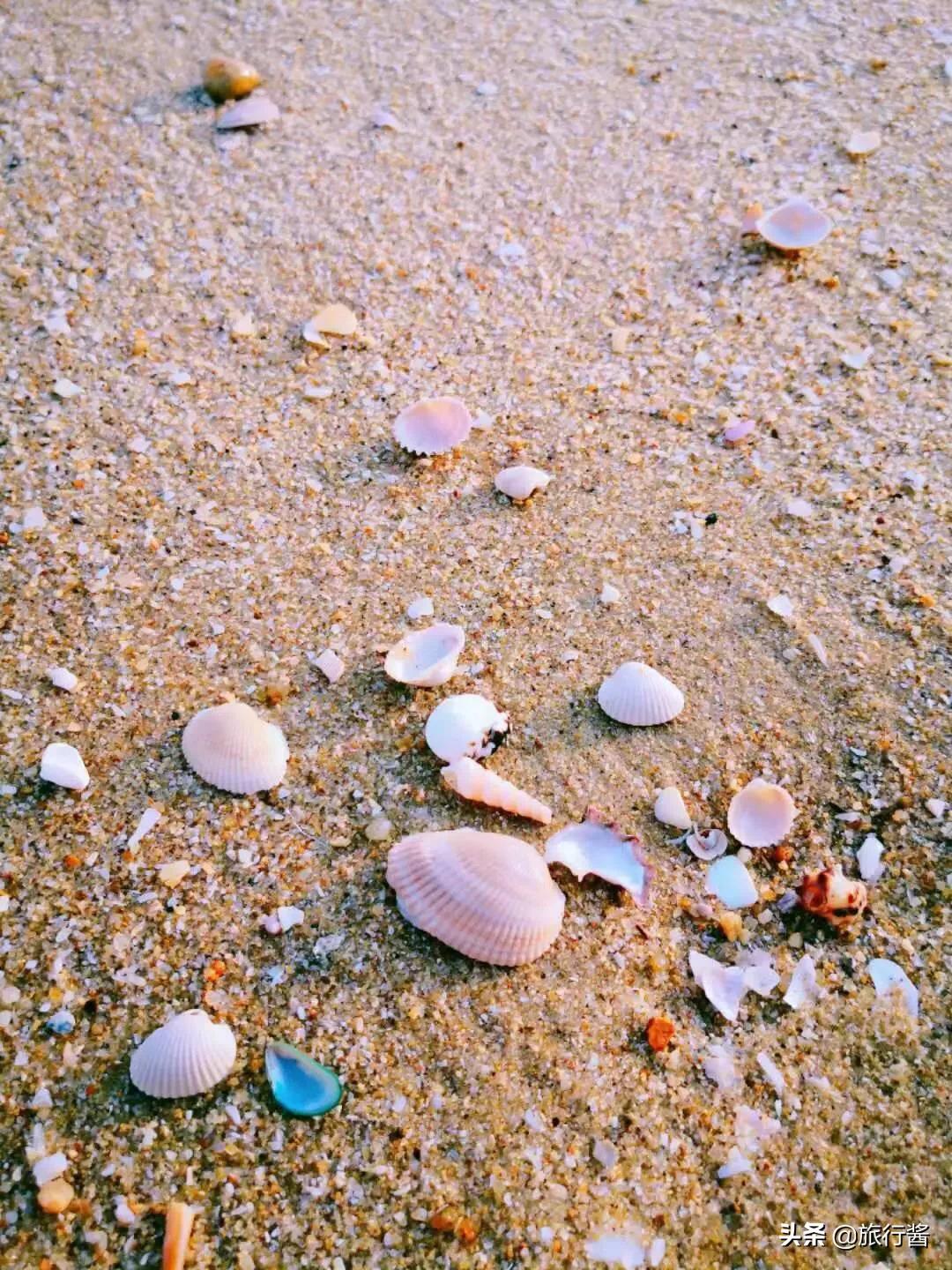 浮潜的秘密视频,潜水水底的秘密