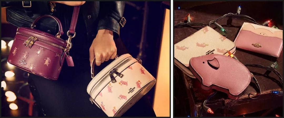 猪都拍时尚大片了，你还在穿妈妈给你买的红秋裤？