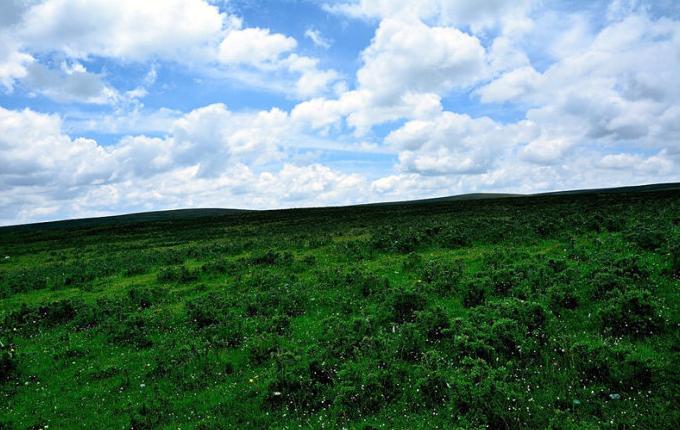 甘南最隐藏的地方,甘南隐藏的美景