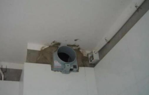 家里没烧饭厨房为什么会有油烟味,明明家里没做饭但是有油烟味