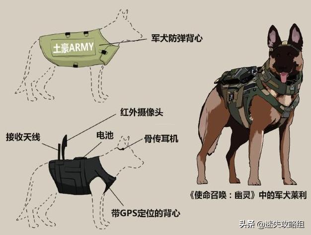 使命召唤10幽灵海底攻略,使命召唤10穷途末路攻略