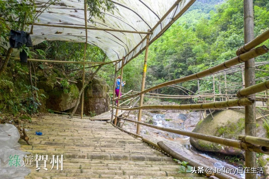 拍贺州｜莲塘镇大山深处的“一号基地”