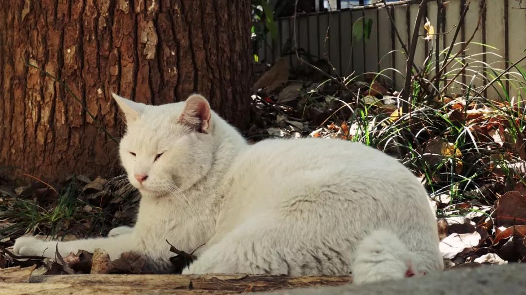 盘点！2019网络黑话！中博学员如何使用呢？