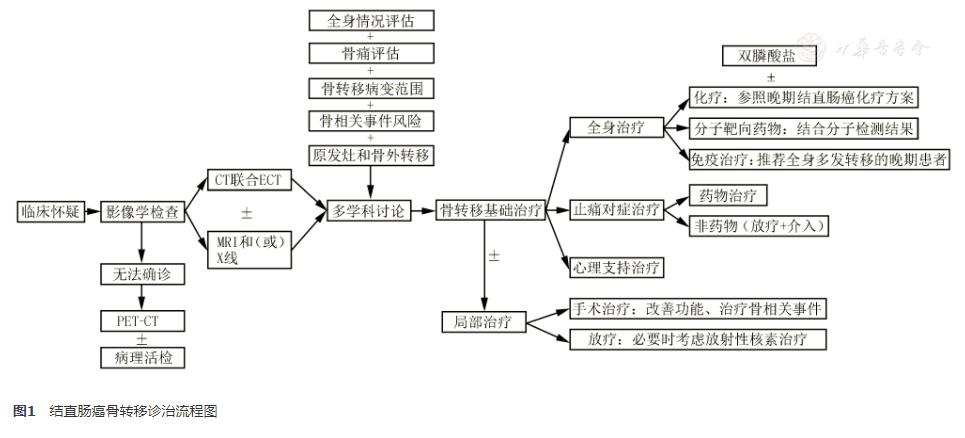结直肠癌骨转移的症状,结直肠癌转移到肺怎么治疗