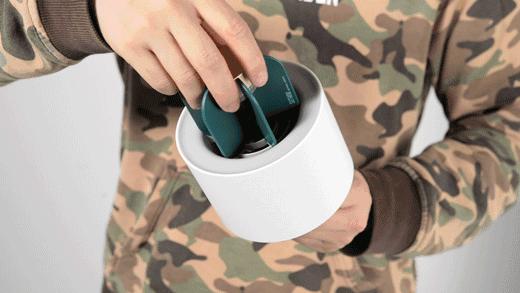 防辐射盆栽仙人掌,四季开花驱蚊的盆栽